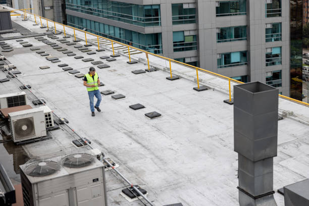 Best Asphalt Shingles Roofing  in Eulyptus Hills, CA