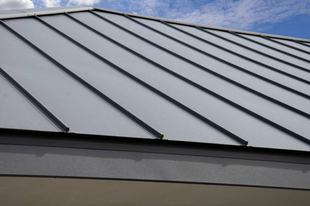Best Roof Maintenance and Cleaning  in Eulyptus Hills, CA